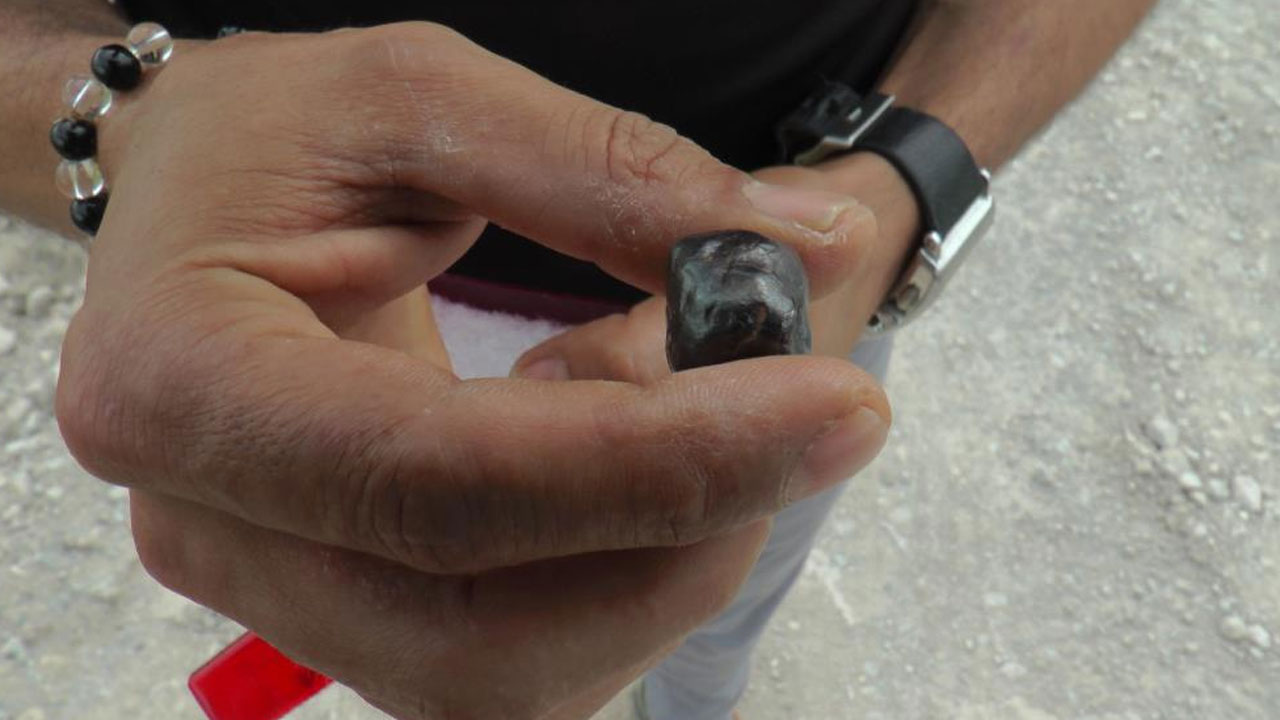 Tarlada yürürken bir anda önüne çıktı: Bugüne kadar hiç  böyle bir şey görmedim