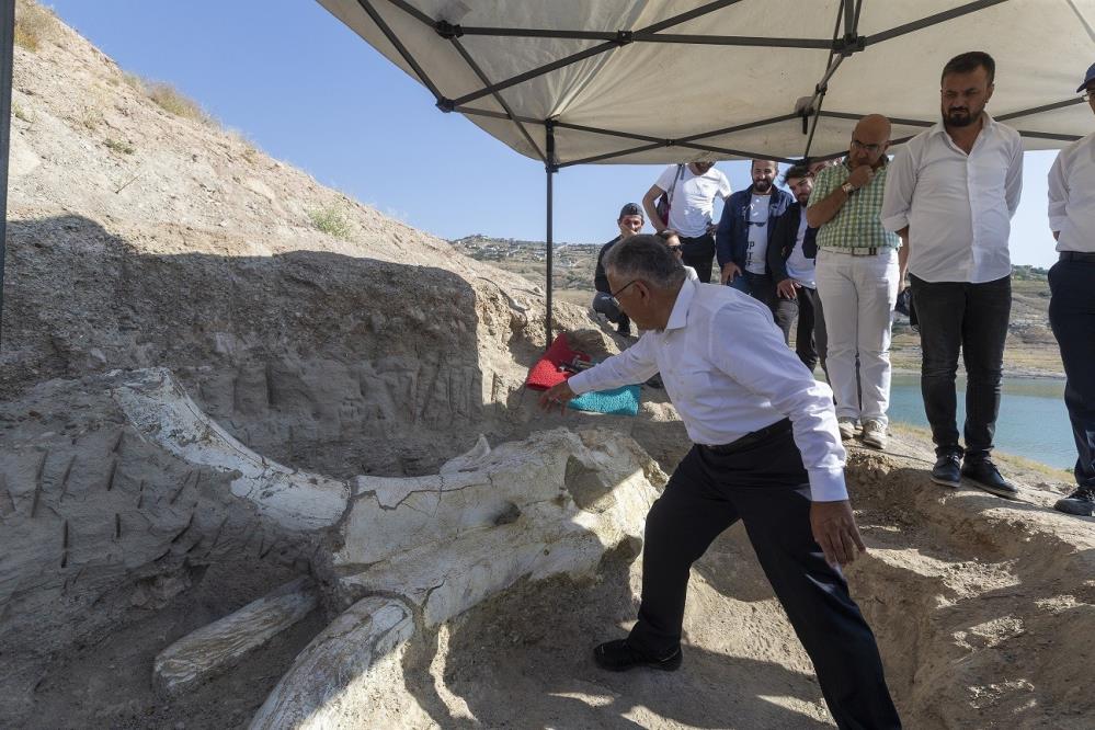 Kayseri'de bulundu dünyada tek