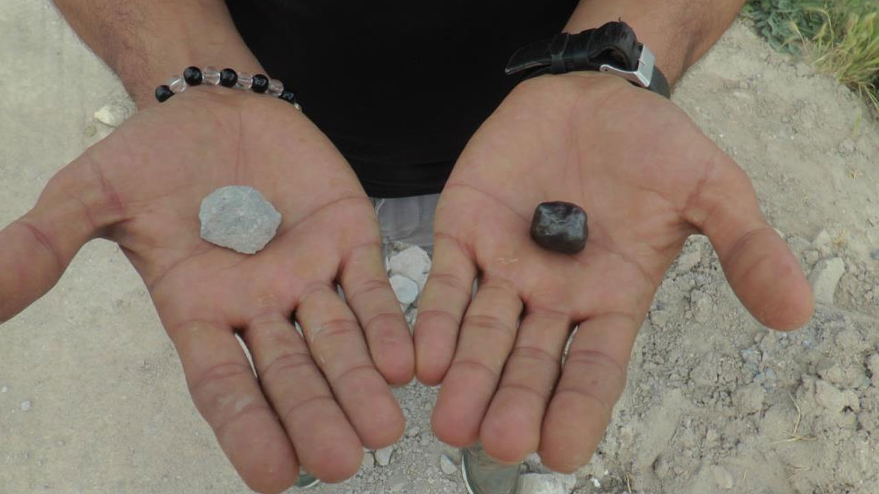 Tarlada yürürken bir anda önüne çıktı: Bugüne kadar hiç  böyle bir şey görmedim