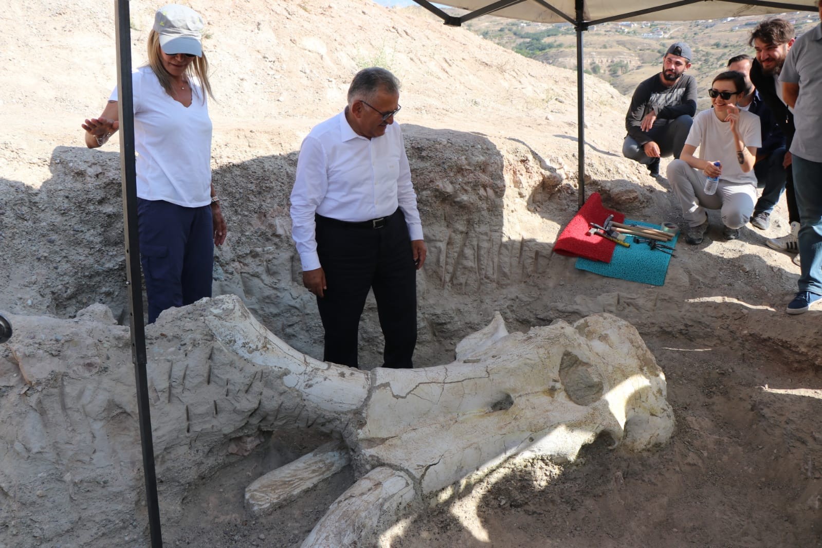 Kayseri'de 7 buçuk milyon yıllık 'Choerolophodon' fosili bulundu