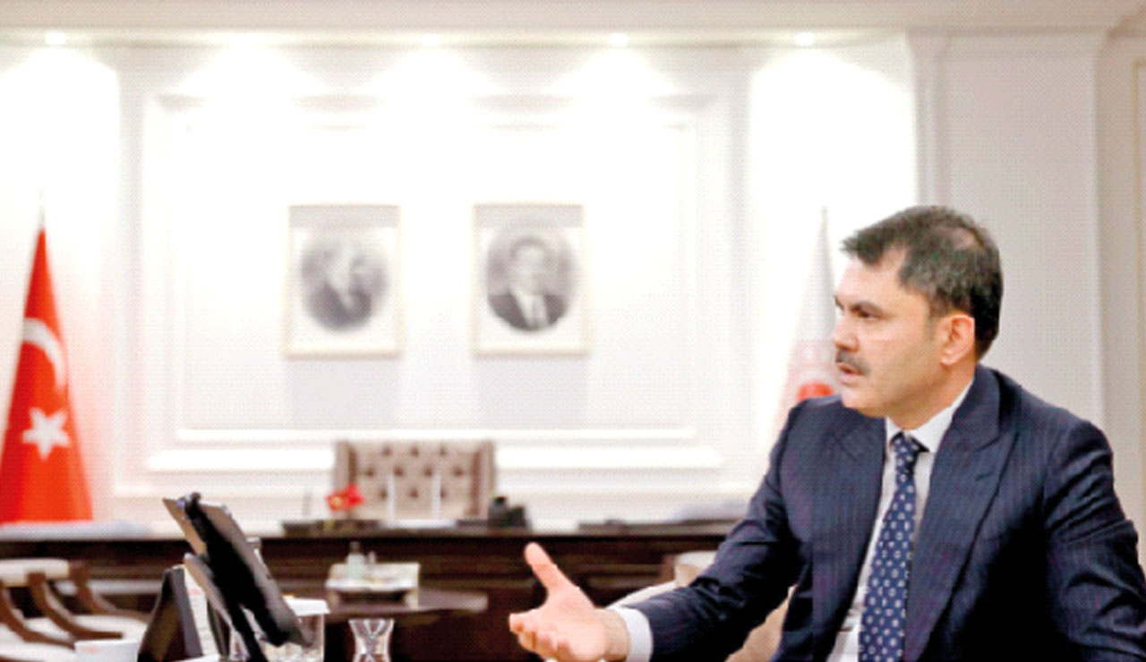 Hayvan barınakları için teşvik müjdesi: Hazineden arsa, bankadan para