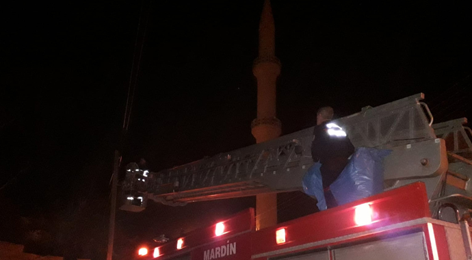 Direkte mahsur kalan kediyi itfaiye ekipleri kurtardı