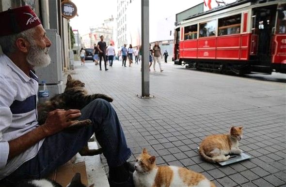 Ünlü şarkı sözü yazarı sokakta yaşam mücadelesi veriyor