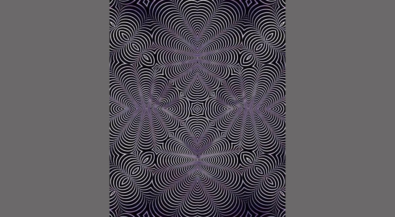 Sosyal medya ikiye bölündü: Kedi mi görüyorsunuz, geyik mi?