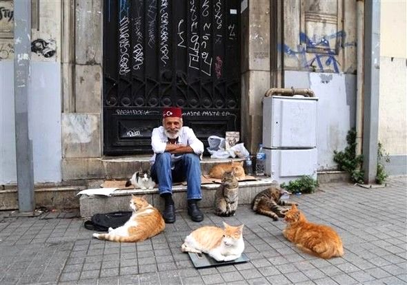 Ünlü şarkı sözü yazarı sokakta yaşam mücadelesi veriyor