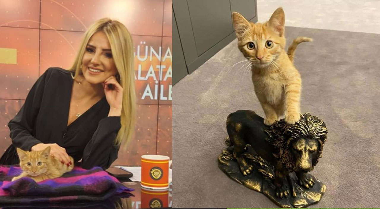 Galatasaray'da kediye bile fatura kesildi! Simba'yı gönderdiler...