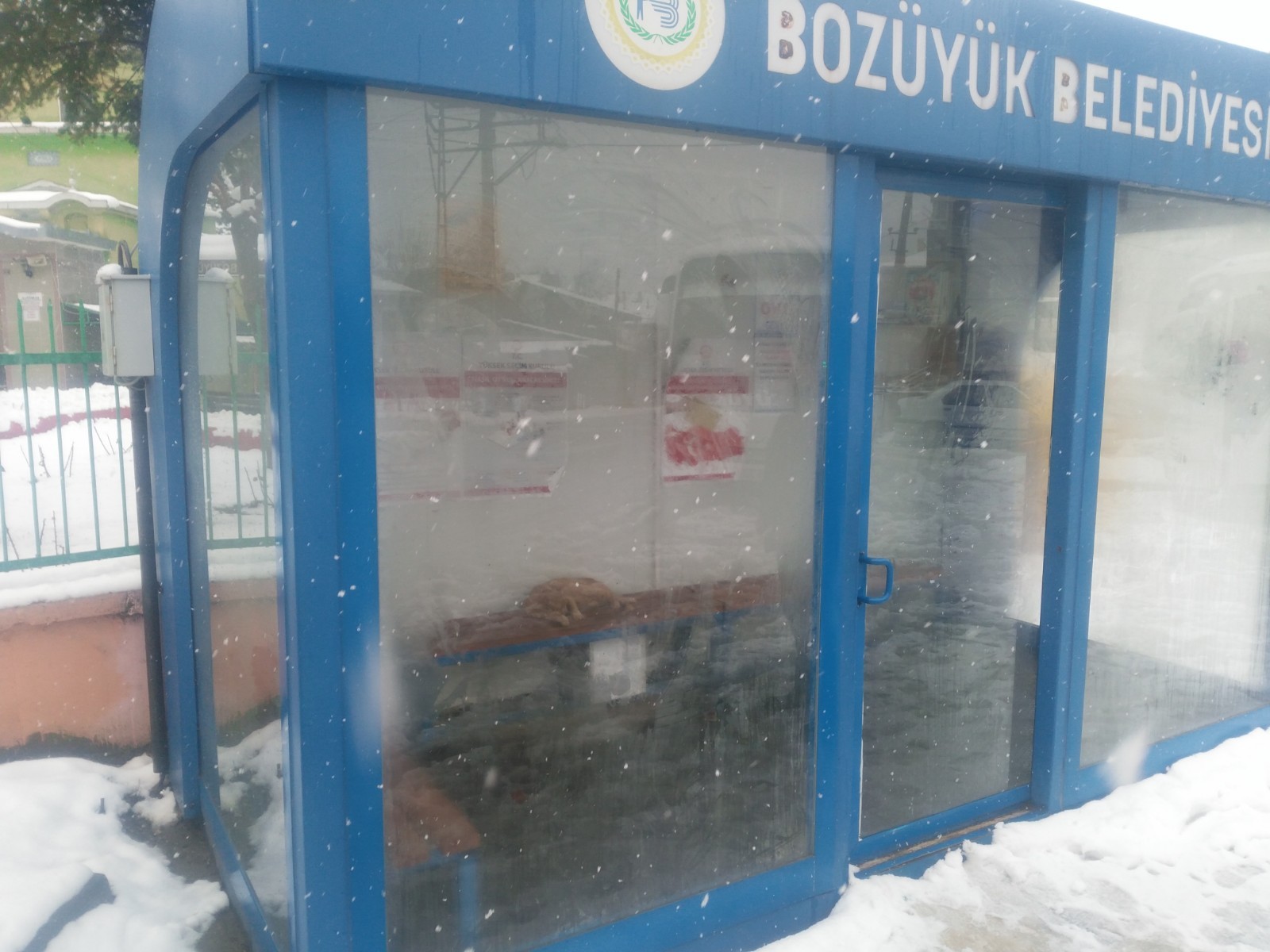 Soğuk ve kar yağışından korunmak için klimalı durağa sığındı