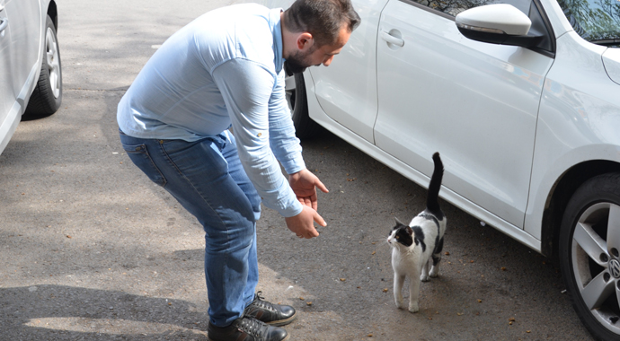 Patisiyle kapıyı açan kedi fenomen oldu