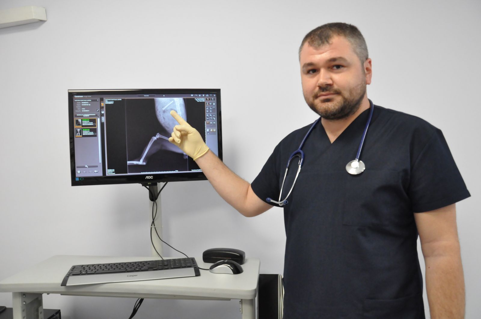 Kedinin karnından çıkan şaşırttı