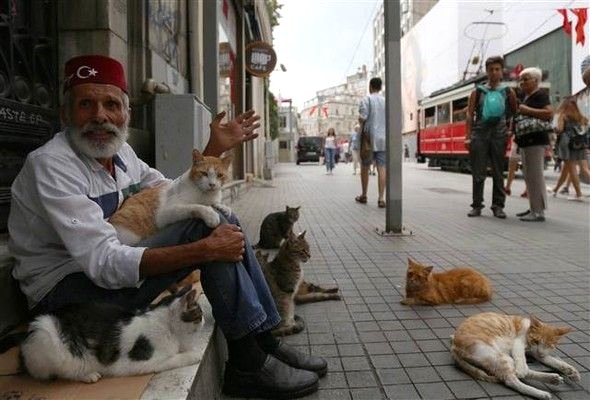 Ünlü şarkı sözü yazarı sokakta yaşam mücadelesi veriyor