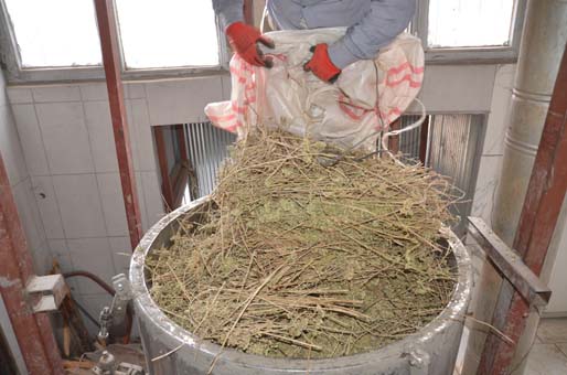 8 kilo kekikten 100 gram kekik yağı çıkıyor!