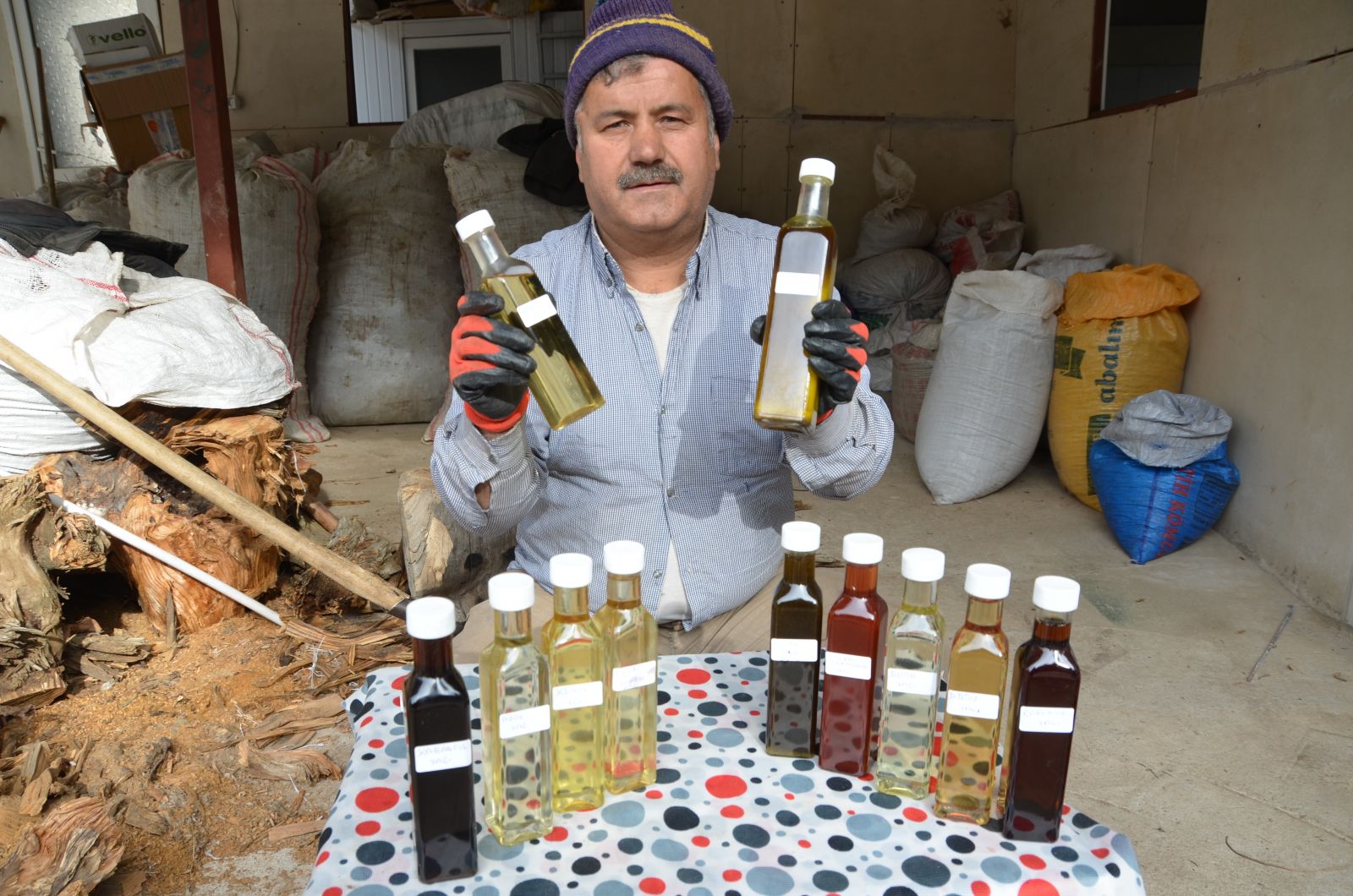 8 kilo kekikten 100 gram kekik yağı çıkıyor!