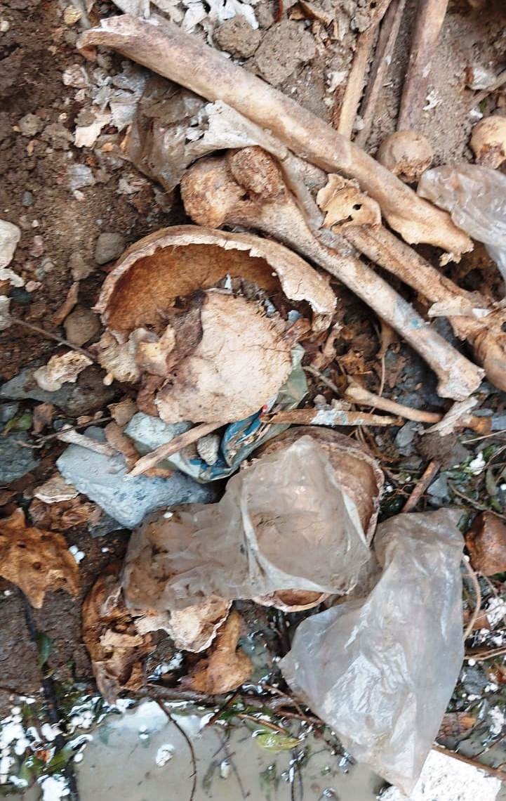 İnşaat alanından poşet içerisinde kafatasları çıktı