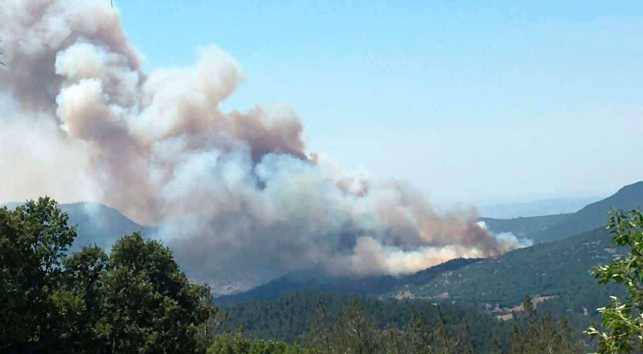 Balıkesir Kepsut'ta orman yangını: Valilikten ilk açıklama geldi