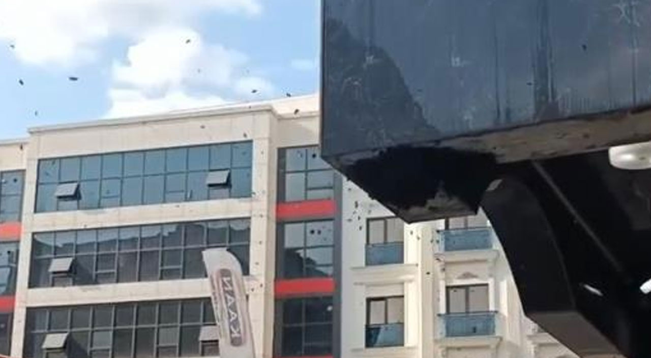 Bursa’da kraliçe arı ortalığı karıştırdı: Yüzlerce arı sokağı istila etti