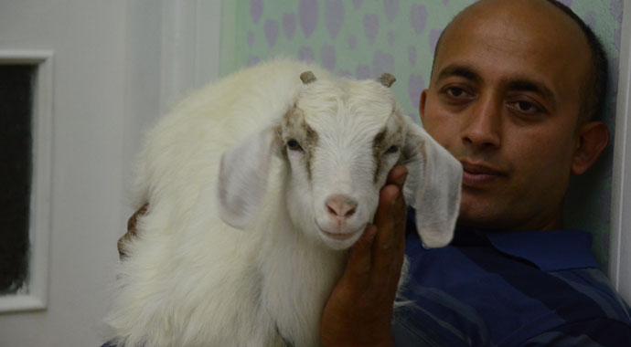 Evladı gibi sevdiği keçiyi yanından ayırmıyor