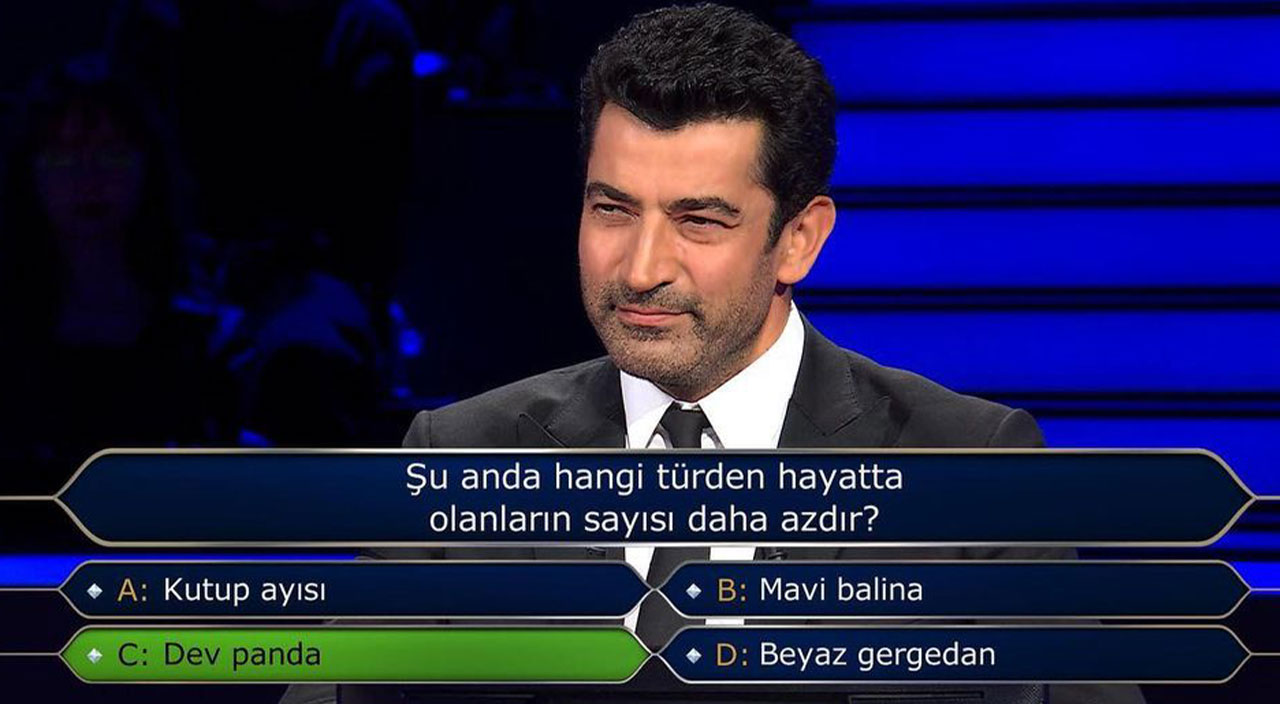 Şu anda hangi türden hayatta olanların sayısı daha azdır? Kim Milyoner Olmak İster 17 Ağustos sorusunun doğru cevabı!