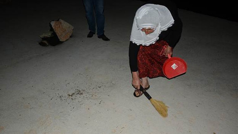 Köyü 'kırkayak'lar istila etti