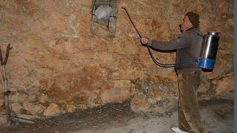 Köyü 'kırkayak'lar istila etti