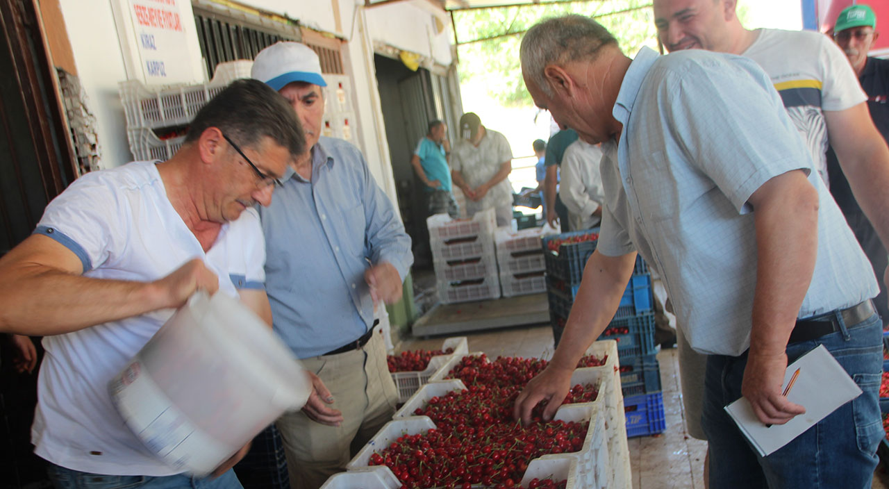 Almak için kuyruk oldular: 'Kiraz Borsası' öğlen 12'de kapanıyor, fiyatlar marketin yarısı