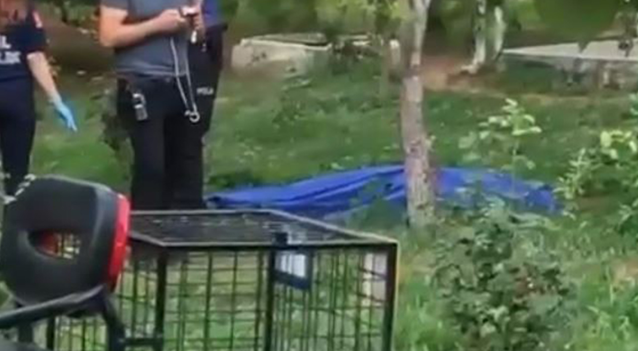 İki gün önce polisten özür dilemişti! Bugün 15'inci kattan atlayıp canına kıydı