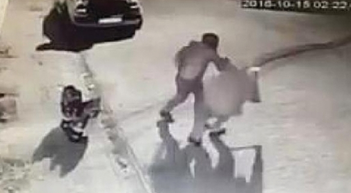 Aydın'da tartışılacak olay... Köpek tasması taktı