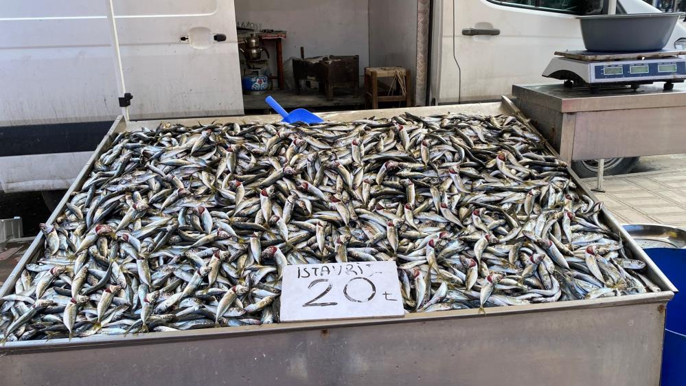 Av sezonunun bitmesine 2 gün kala balıkçılar teselliyi istavritte buldu