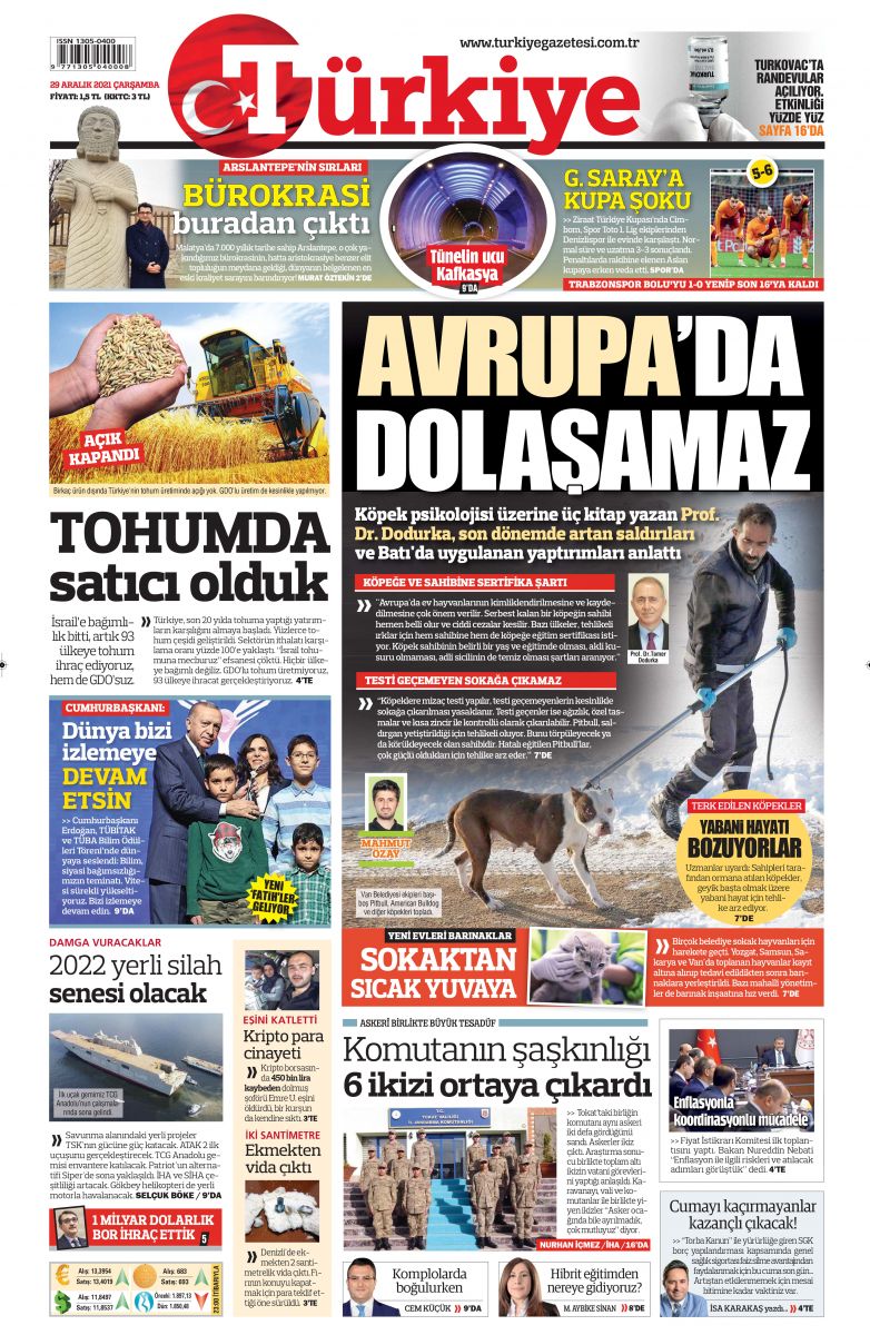 Gündem pitbull saldırıları: Avrupa, köpeği değil sahibini denetliyor