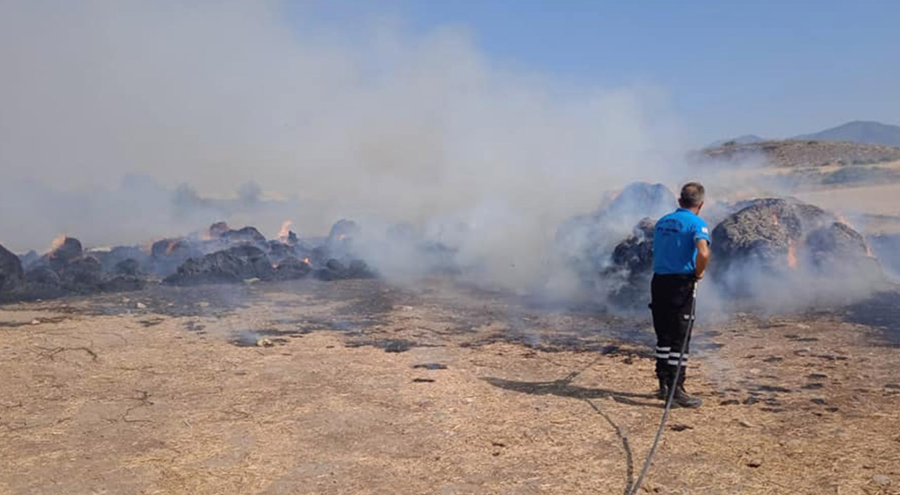 KKTC'de orman yangını: Müdahale sürüyor