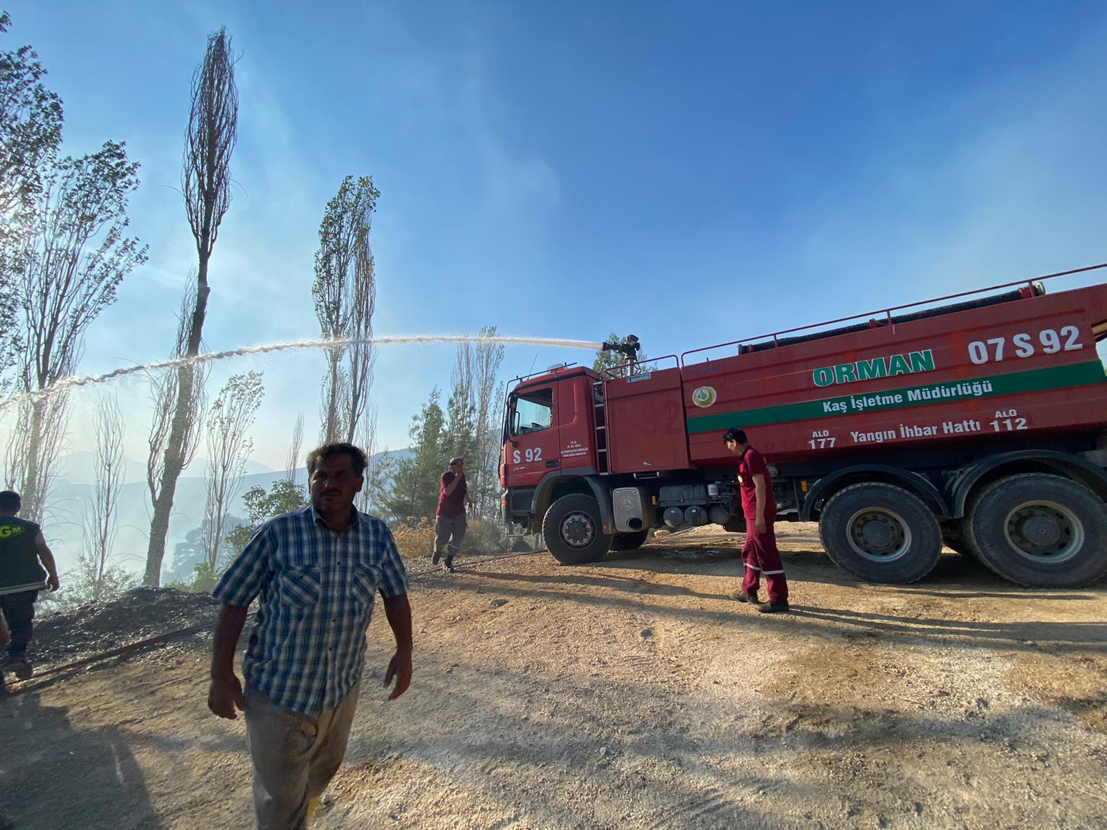 Kaş ve Bozdoğan'da yangın çıktı
