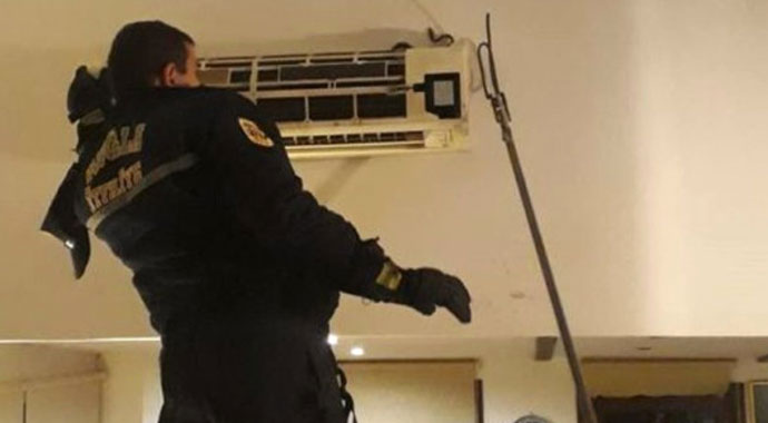 Dehşete düşüren olay! Klimadan 1 metrelik zehirli yılan çıktı