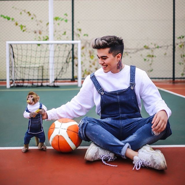 Sosyal medya fenomeni maymununu vermemek için gözyaşlarıyla böyle direndi