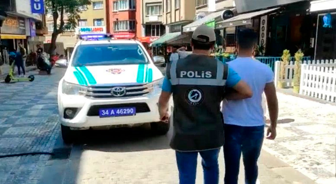 Köpek köpeğe saldırdı: American Bully sahibine 14 bin lira ceza kesildi