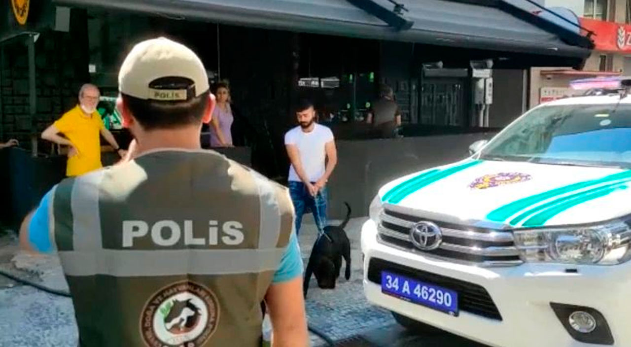 Köpek köpeğe saldırdı: American Bully sahibine 14 bin lira ceza kesildi