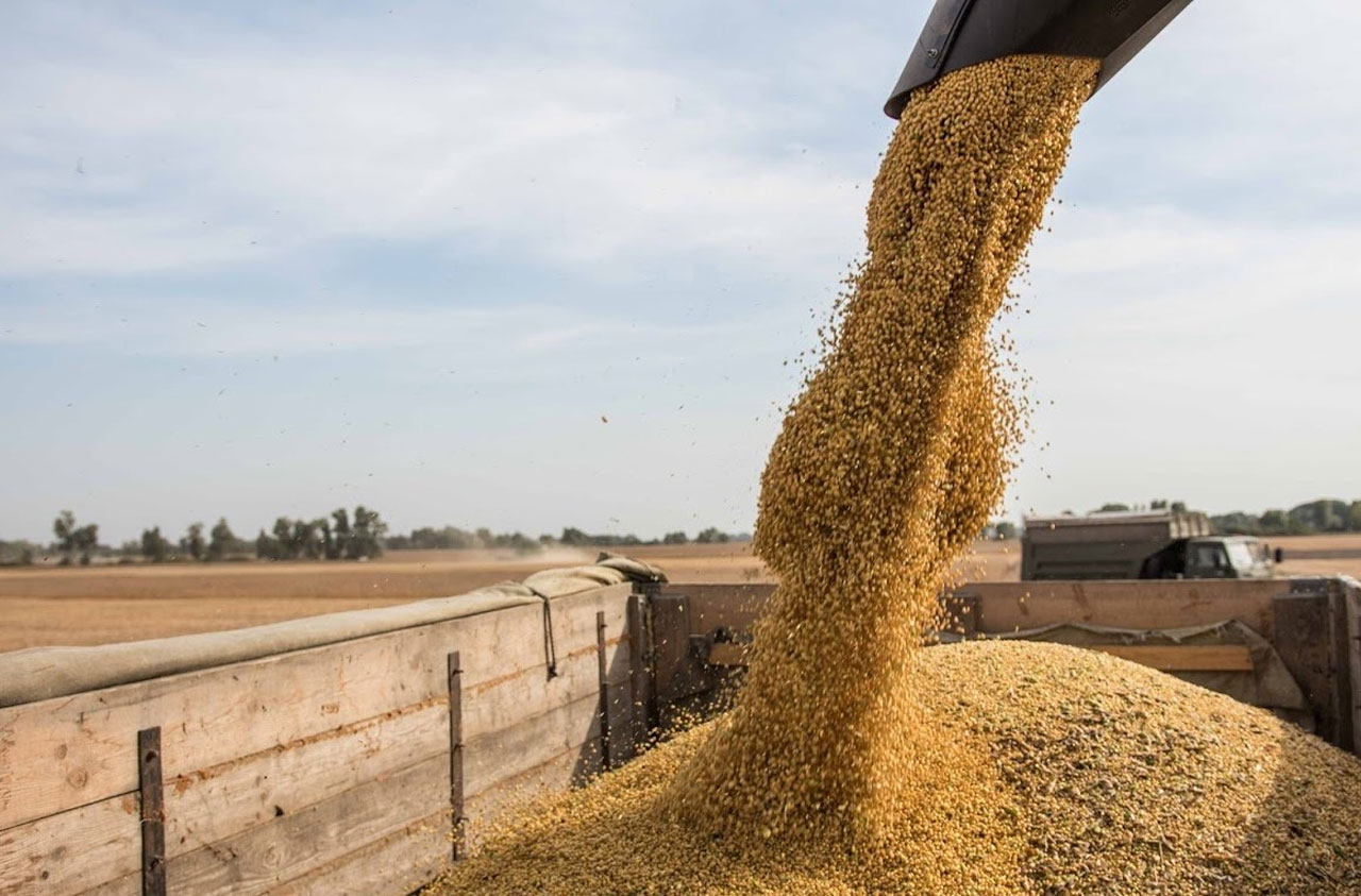 Tahıla sıkı takip! Sertifika şartı getirildi