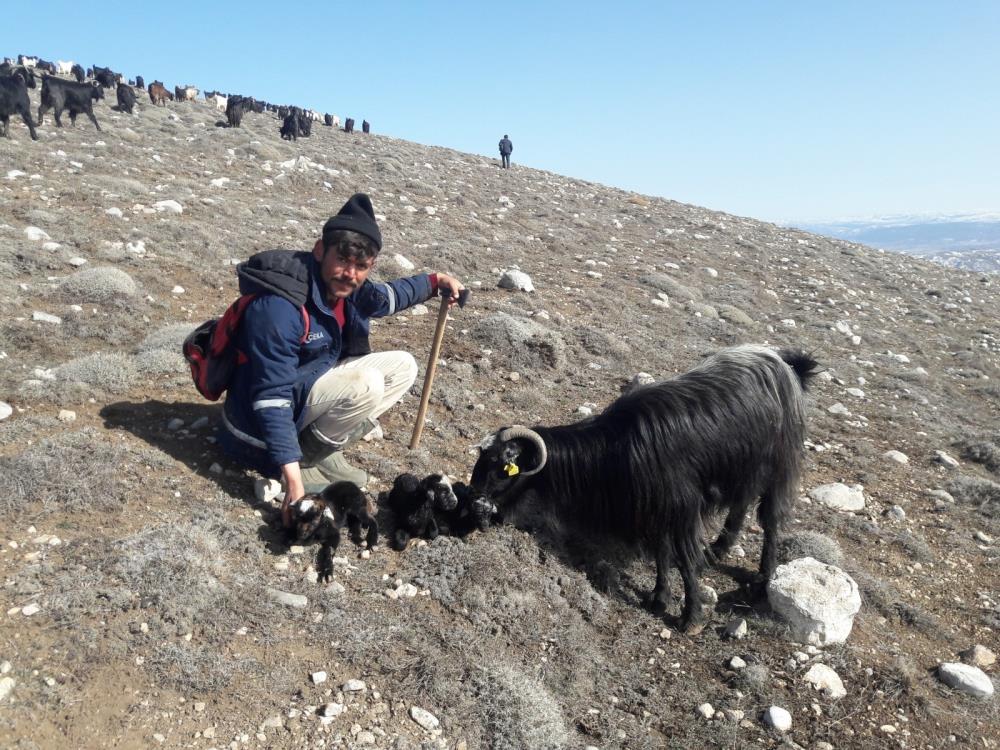 Koronavirüsten uzak bir yaşam