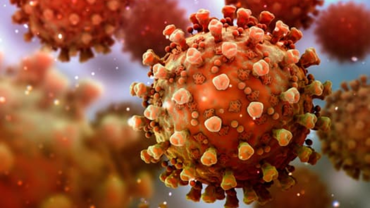 Dikkat! Fazla kilo, koronavirüse kapı aralıyor Dikkat! Fazla kilo, koronavirüse kapı aralıyor