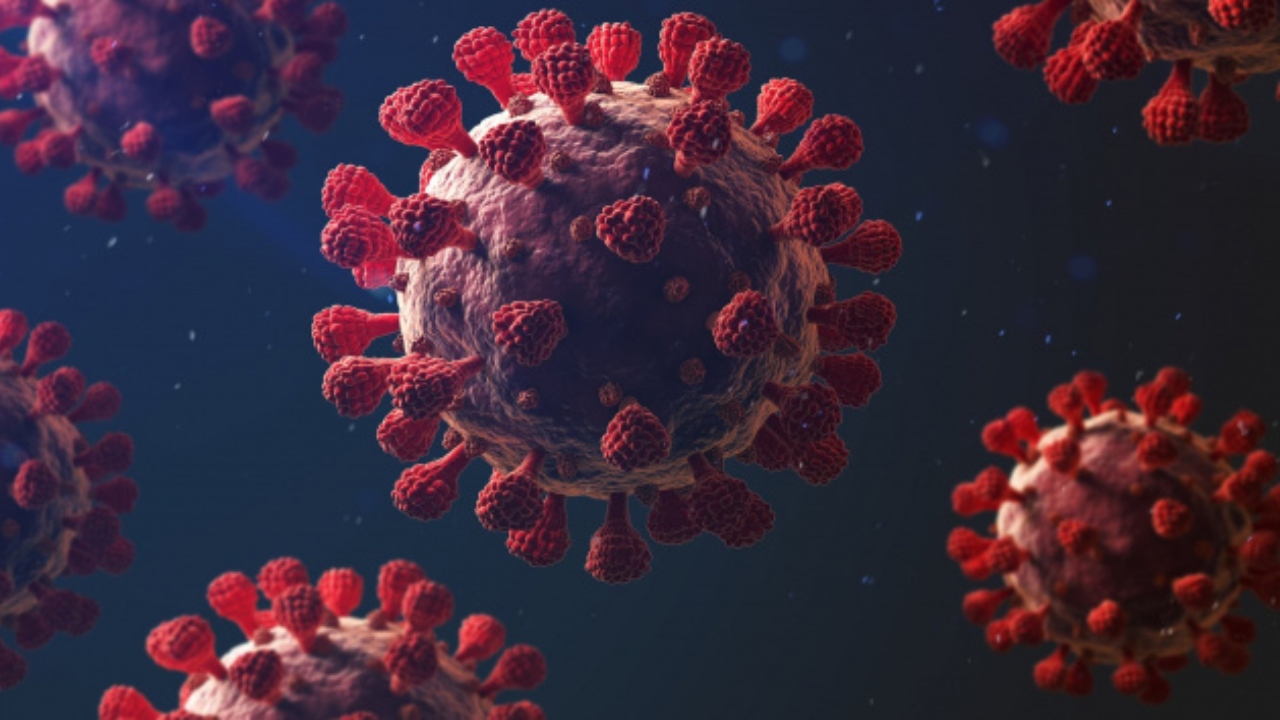 Dikkat! Fazla kilo, koronavirüse kapı aralıyor Dikkat! Fazla kilo, koronavirüse kapı aralıyor