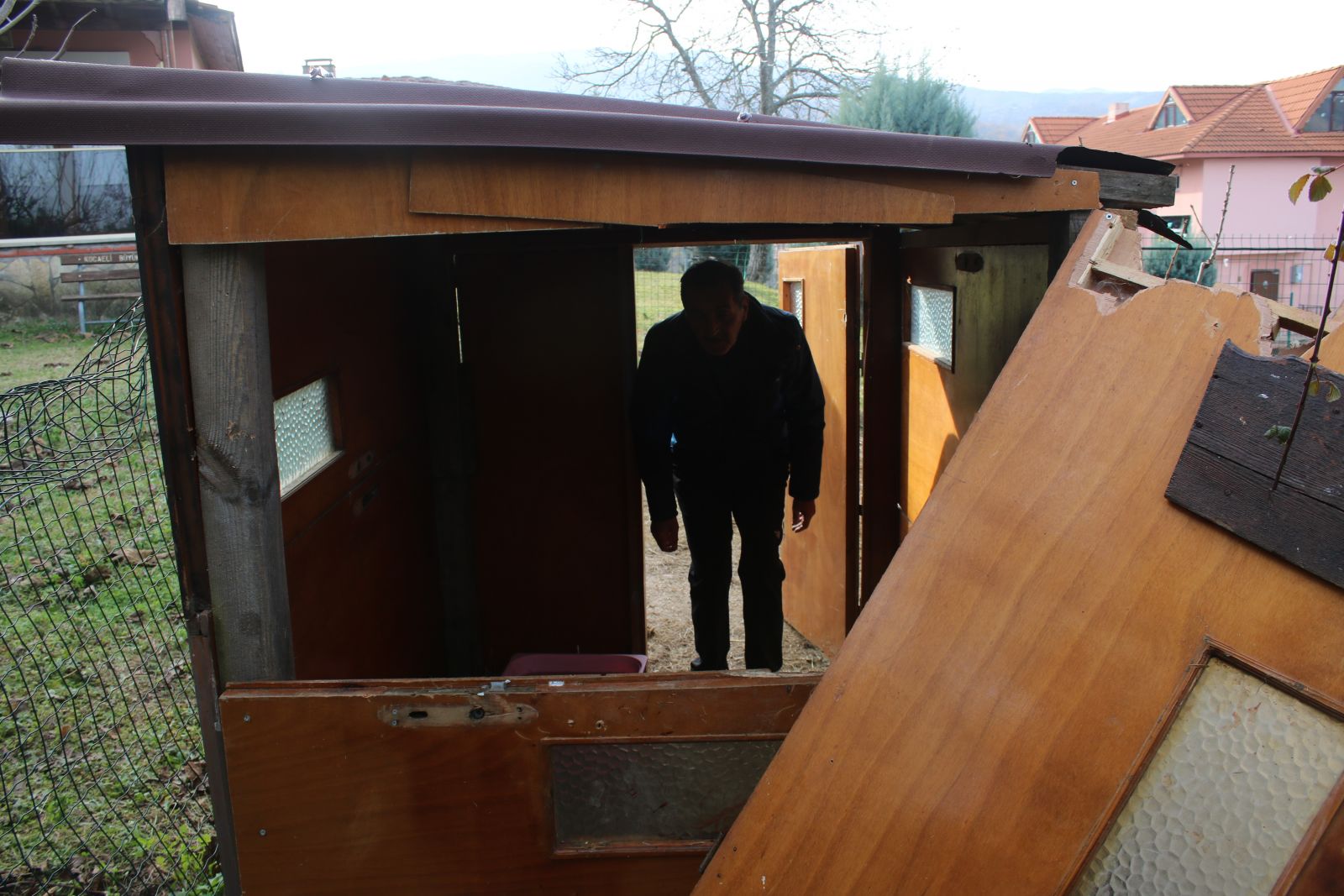 Koyunları çalındı sandı, görüntüleri izleyince şoke eden gerçek ortaya çıktı