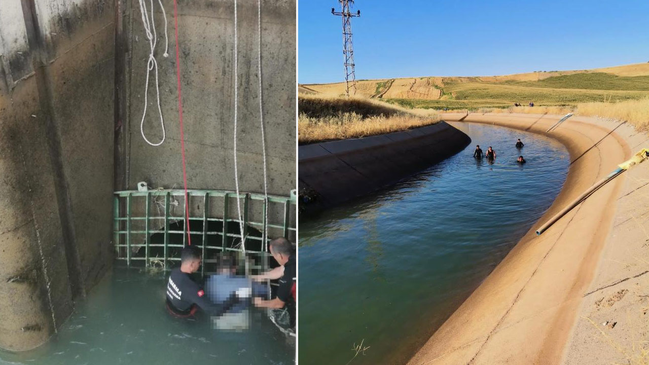 Çobanın hazin sonu: Koyun uğruna canından oldu