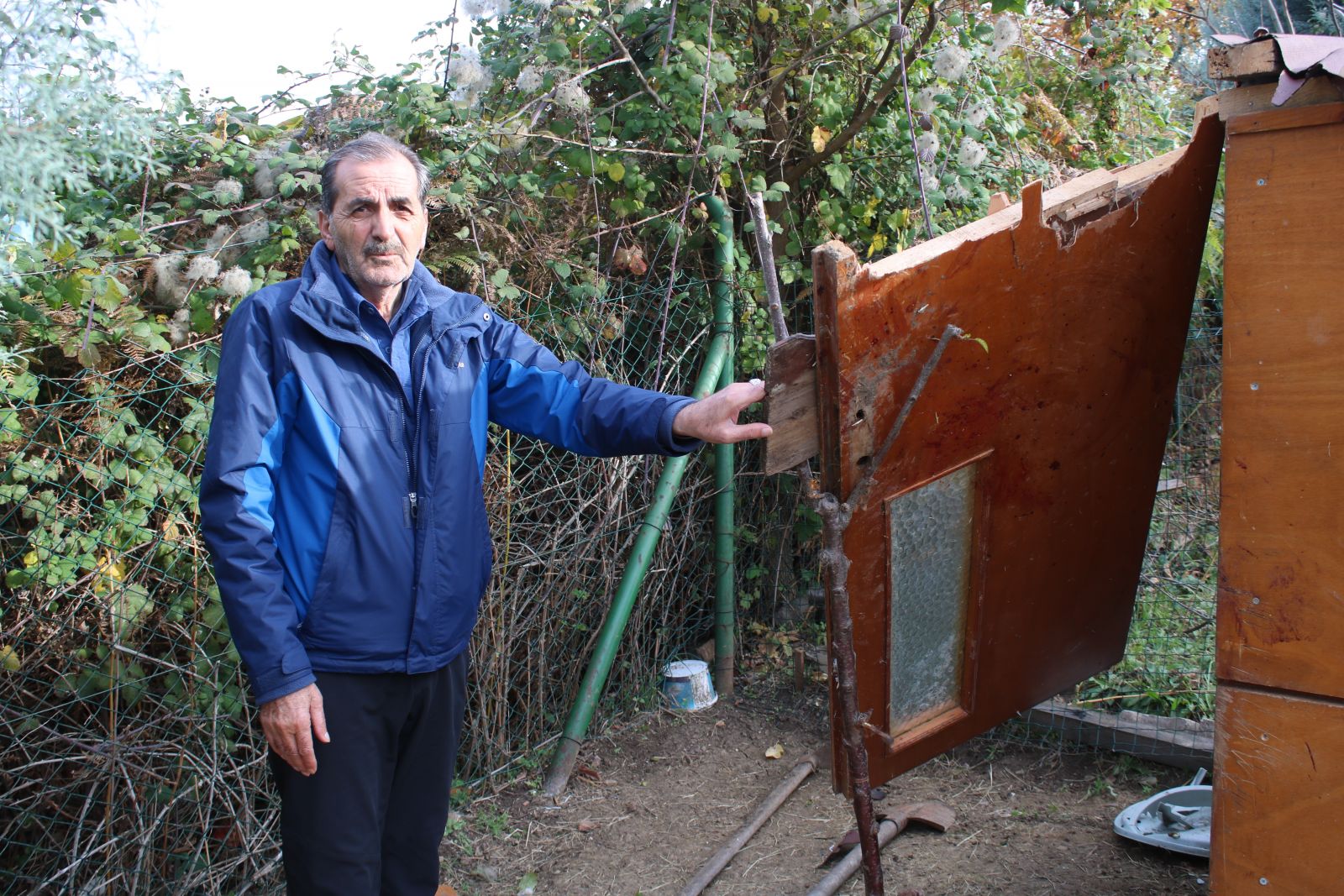 Koyunları çalındı sandı, görüntüleri izleyince şoke eden gerçek ortaya çıktı