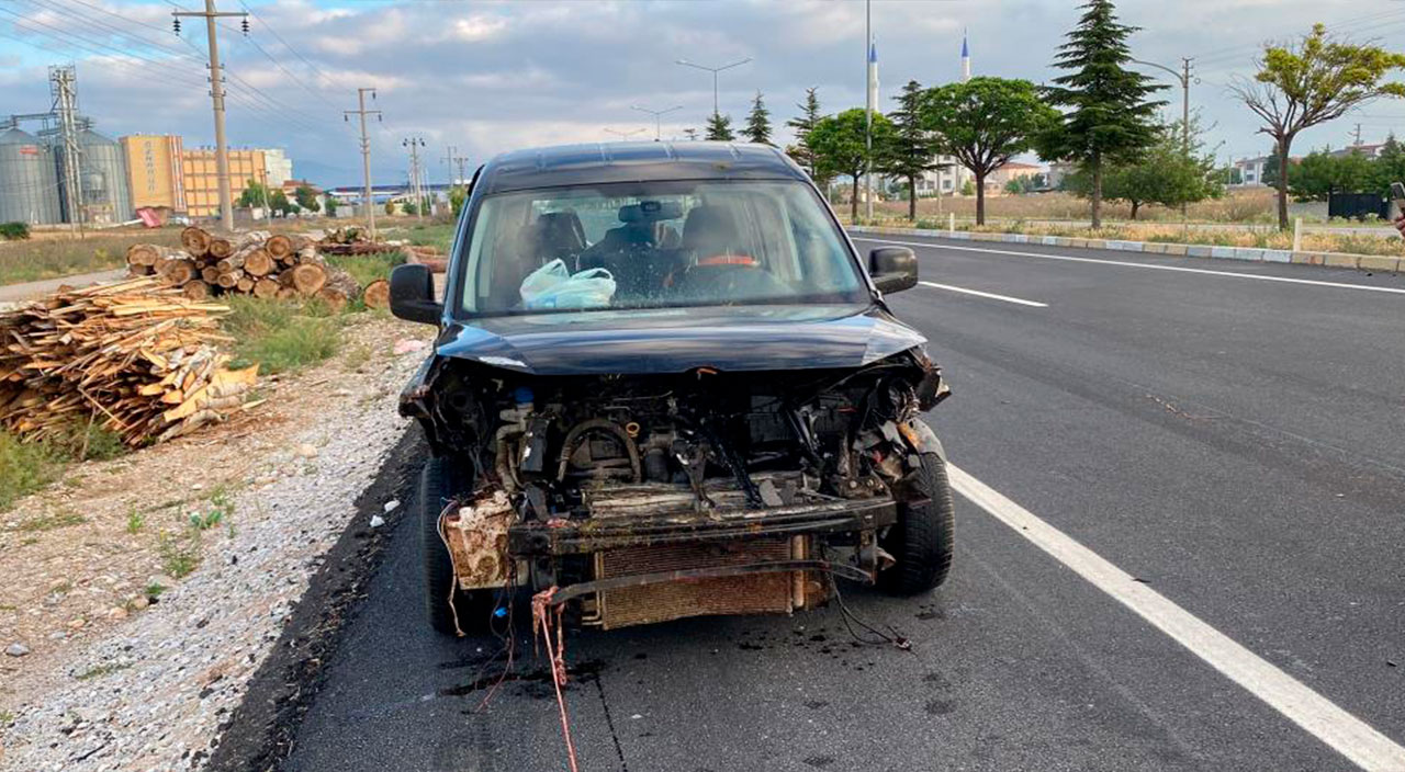Sürüye daldı: Hamile koyunun karnındaki kuzu dışarı fırladı