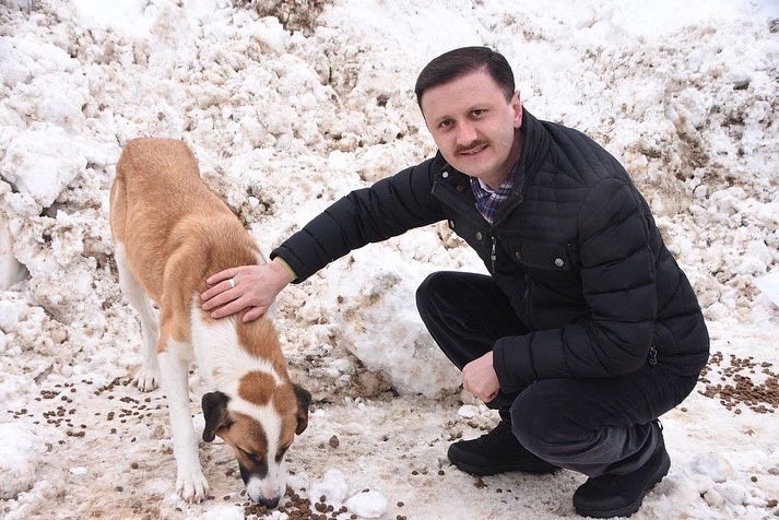 Sinop'ta kapanan yollar açılıyor, ekipler sokak hayvanlarını da unutmuyor