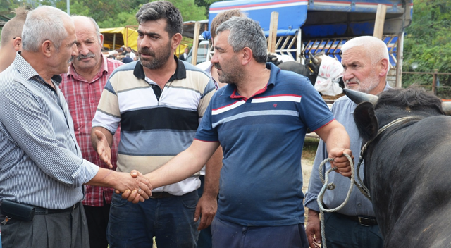 Kurbanlıklar fındığa takıldı