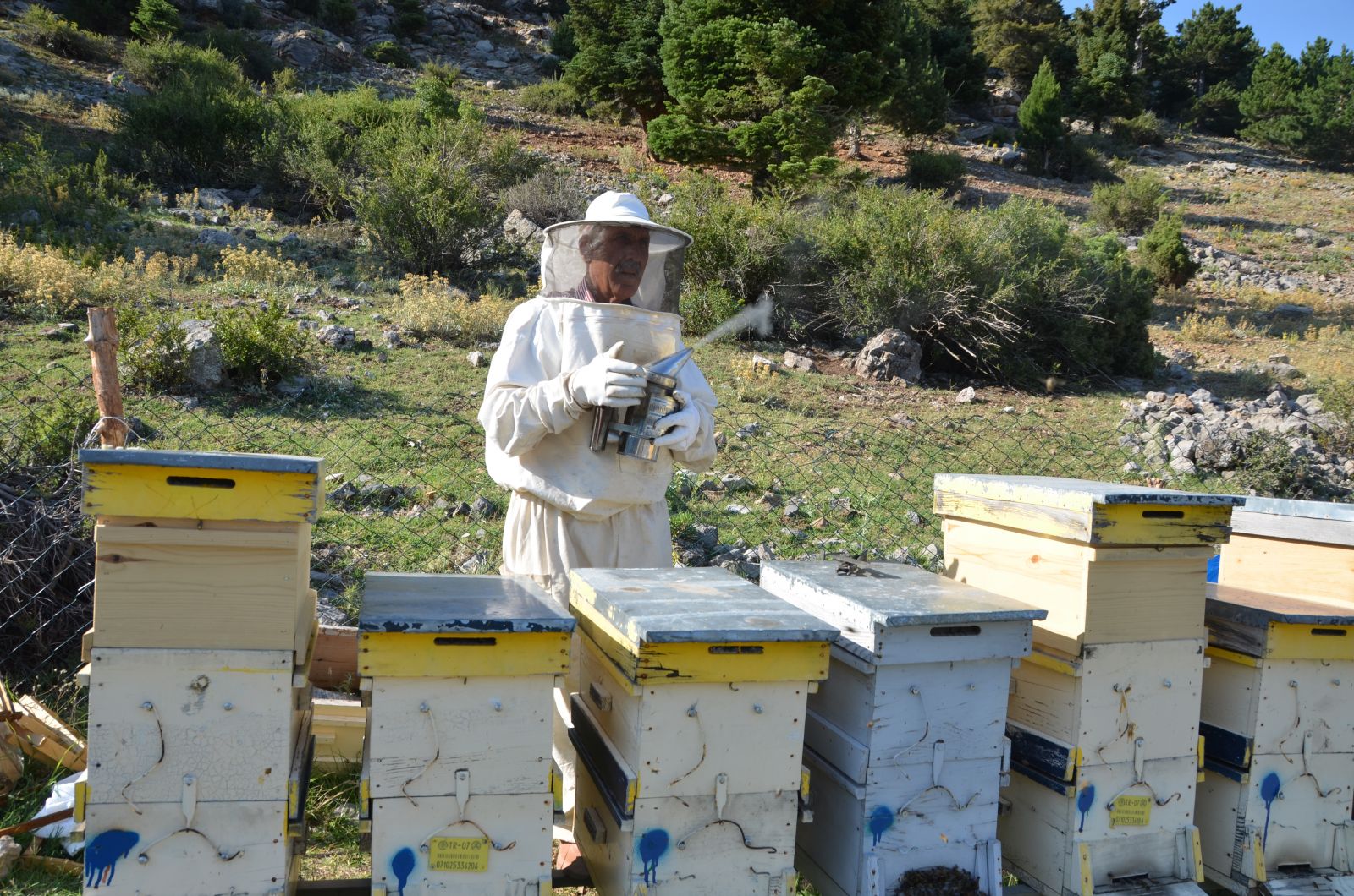 Akseki balı kovandan çıkmadan satılıyor