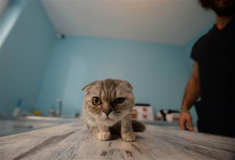 Ücretsiz vereceklerdi, 5 günde 1000 kişi başvurunca...