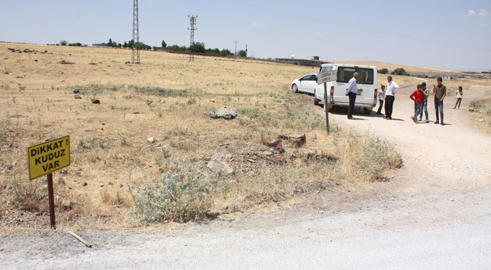 Diyarbakır’da kuduz alarmı Diyarbakır’da kuduz alarmı