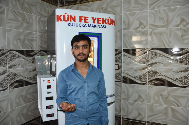 Hurdadan 50 liraya aldığı buzdolabını, kuluçka makinesine dönüştürdü