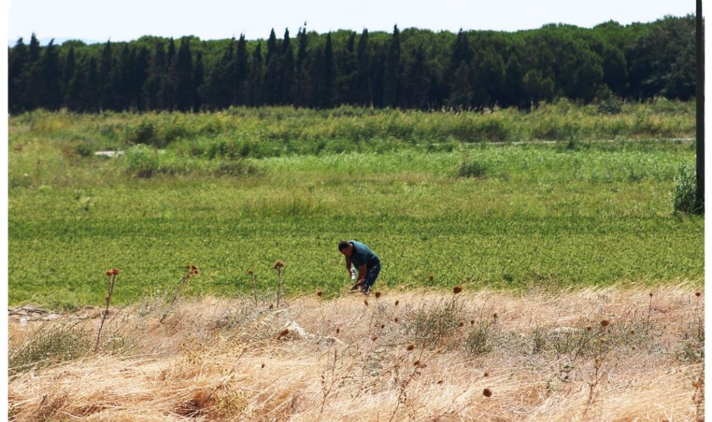 104 yıldır kayıptı... Kumkale Şehitliği gün yüzüne çıktı
