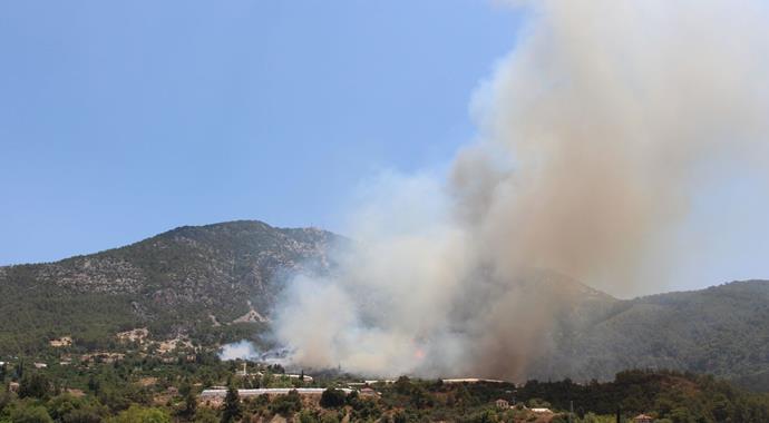 Kumluca'da orman yangını: 4 ev yandı